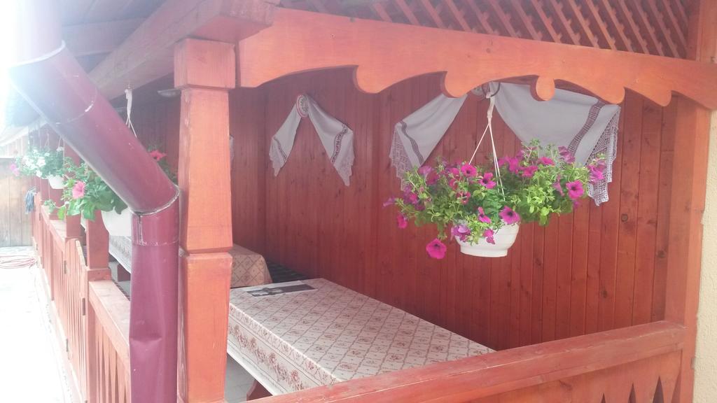 Pensiunea Adi Săpînţa Exterior foto
