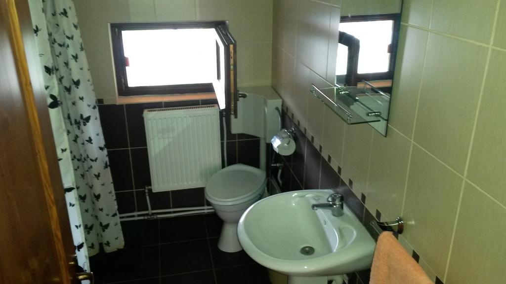 Pensiunea Adi Săpînţa Habitación foto